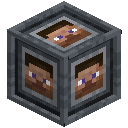 Player Interface