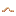 Worm