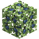 Berry Bush