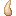 Cachalot Whale Tooth