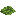 Algae