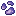 Water Essence
