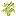 Elder Sapling