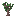 Juniper Sapling