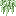Spanish Moss Plant
