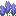 Tall Lavender
