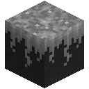 Mossy Black Sand