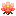 Waterlily