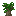 Ebony Sapling