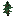 Fir Sapling