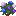 Hydrangea Bush
