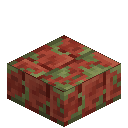 Mossy Red Rock Brick Slab