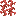 Maple Vines