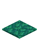Sea Moss Carpet