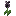 Glimmering Black Flower