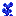 Tall Mystical Blue Flower