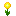 Daybloom Motif