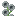 Tall Mystical Light Gray Flower