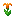 Mystical Orange Flower