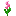 Glimmering Pink Flower