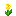 Glimmering Yellow Flower