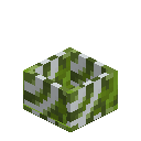 Green Glazed Botany Pot