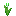 Green Tulip
