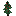 Holly Sapling