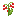 Kovan Flower