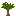Mahogany Sapling