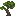Maple Sapling