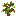 Orchard Sapling