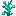 Warped Bush