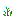 Winter Scilla