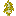 Yellow Birch Sapling