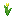 Yellow Tulip