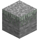 Overgrown Stone