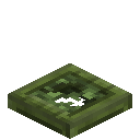 Willow Trapdoor