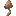 Brown Mushroom Bulb
