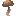 Button Brown Mushroom
