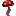 Button Crimson Fungus