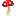 Button Red Mushroom