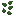 Dark Micro Lily Pads