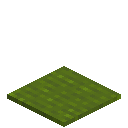 Barky Green Carpet