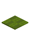 Blocky Green Carpet