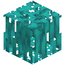 Blue Mangrove Roots