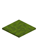 Bundled Green Carpet