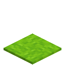Bundled Lime Carpet