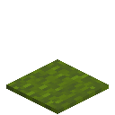 Crafted Green Carpet