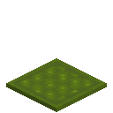 Harsh Quilted Green Carpet